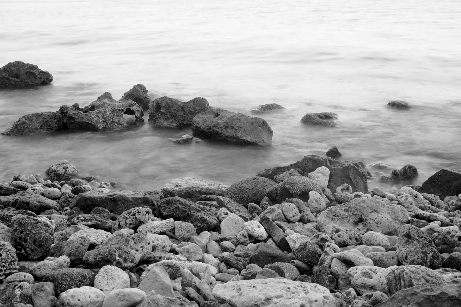 Coral Shore